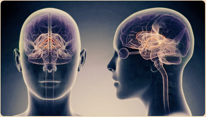 Scent, the most elegant pill.